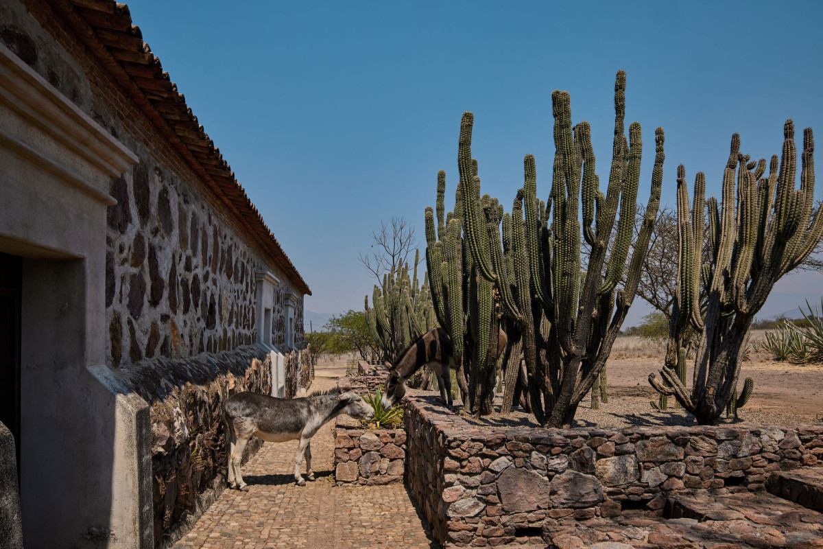 Ex-Hacienda Guadalupe